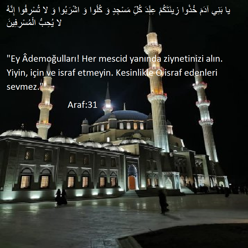 ALLAH'IN MESCİDLERİ